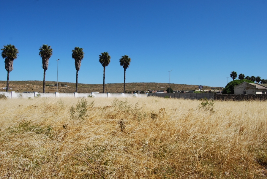 0 Bedroom Property for Sale in Saldanha Western Cape